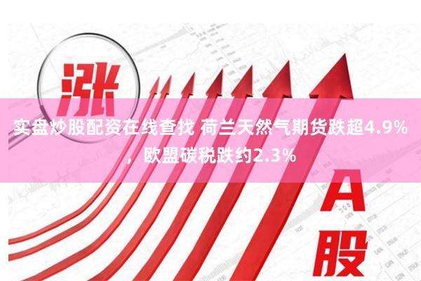 实盘炒股配资在线查找 荷兰天然气期货跌超4.9%，欧盟碳税跌约2.3%