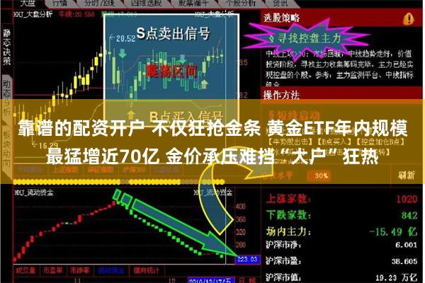 靠谱的配资开户 不仅狂抢金条 黄金ETF年内规模最猛增近70亿 金价承压难挡“大户”狂热