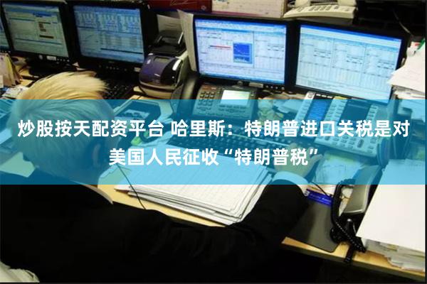 炒股按天配资平台 哈里斯：特朗普进口关税是对美国人民征收“特朗普税”