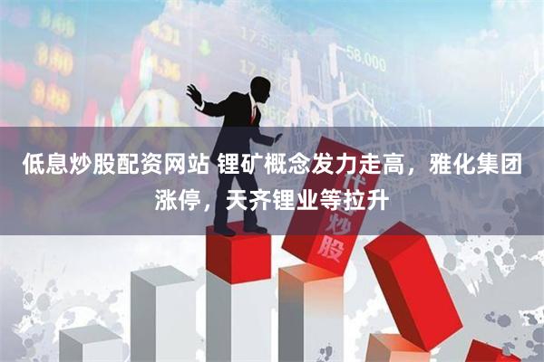 低息炒股配资网站 锂矿概念发力走高，雅化集团涨停，天齐锂
