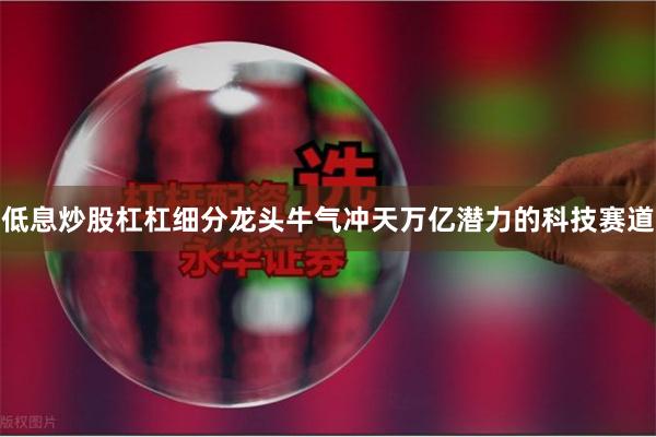 低息炒股杠杠细分龙头牛气冲天万亿潜力的科技赛道